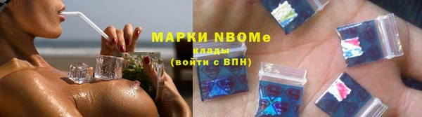 сатива Новодвинск