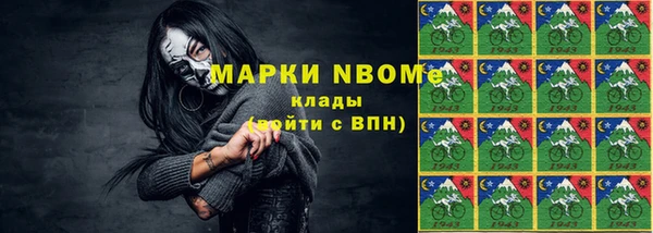 сатива Новодвинск