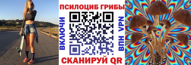 Псилоцибиновые грибы GOLDEN TEACHER  сколько стоит  Алупка 